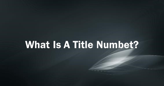 What Is A Title Number